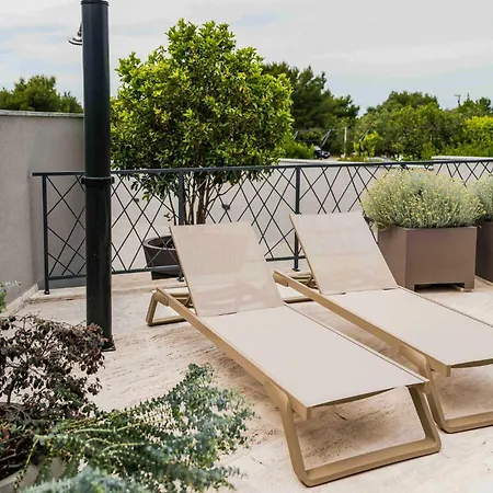 Pet Friendly In Σίμπενικ