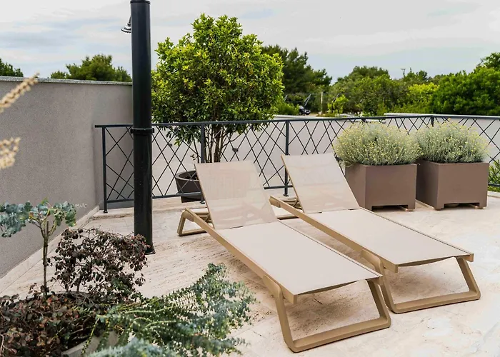 Pet Friendly In Sibenik